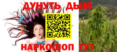 спиды Дубна