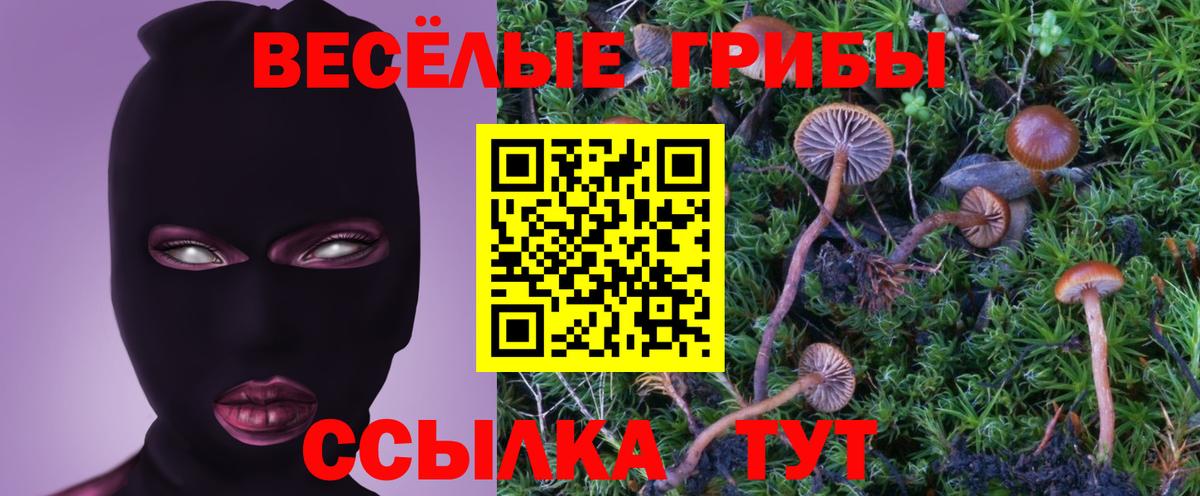 Галлюциногенные грибы MAGIC MUSHROOMS  Галлюциногенные грибы Psilocybine cubensis  Вход с VPN  Новосибирск 